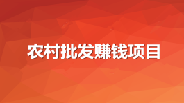 推荐5个赚钱项目（在农村批发什么最赚钱）